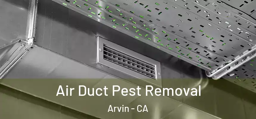  Air Duct Pest Removal Arvin - CA