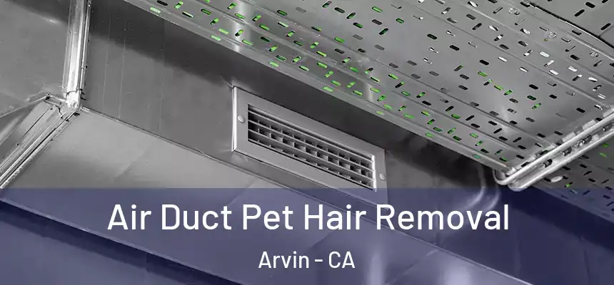 Air Duct Pet Hair Removal Arvin - CA