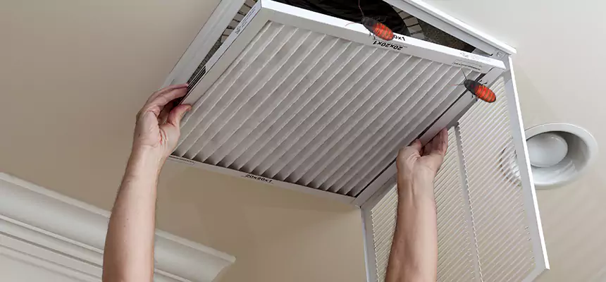 Our Insect Removal from Air Ducts Services in Arvin, CA
