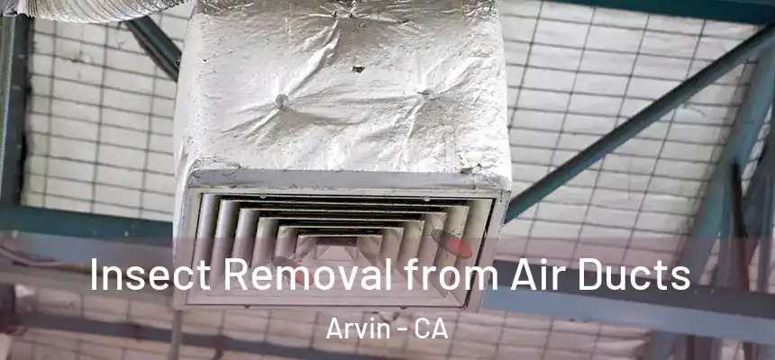  Insect Removal from Air Ducts Arvin - CA