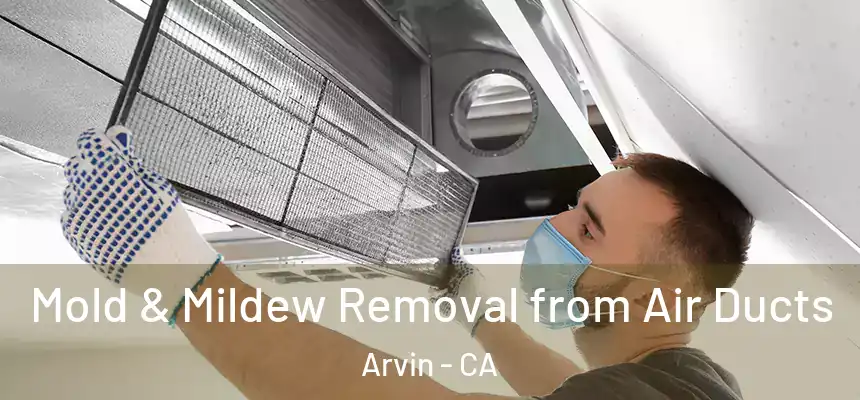  Mold & Mildew Removal from Air Ducts Arvin - CA
