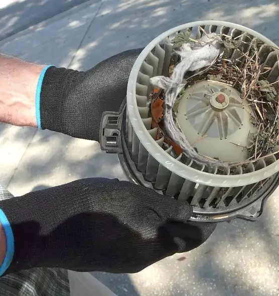 About Air Duct Mice Removal in Arvin, CA