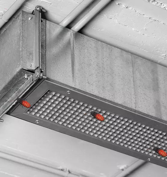 Affordable Insect Removal from Air Ducts in Arvin, CA