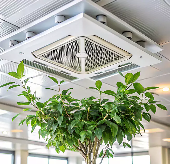 Why Homeowners & Businesses Trust Us in Arvin, CA